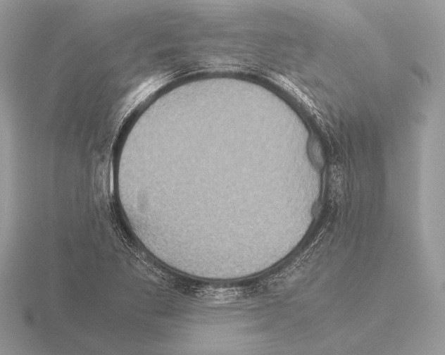 X0000115311269200912141130