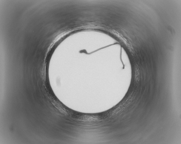 X0000115311270200912141130