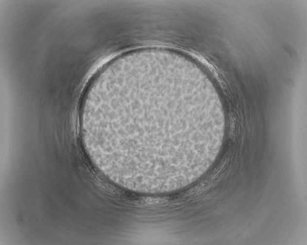 X0000115311271200912141130