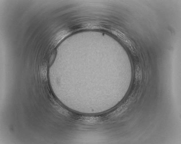 X0000115311273200912141129