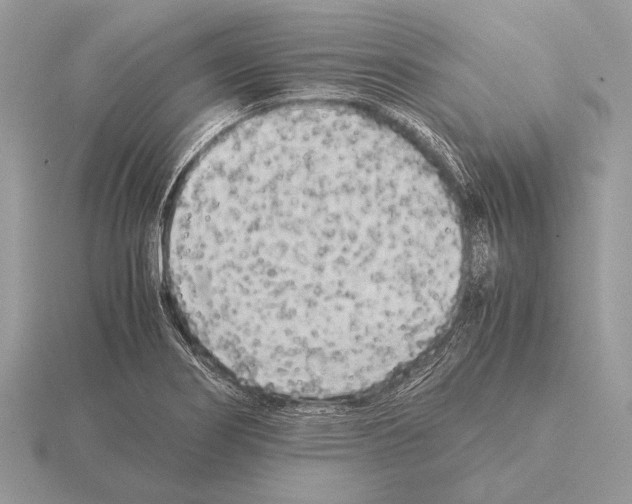 X0000115311274200912141129