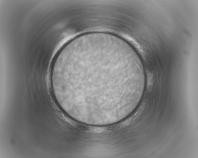 X0000115311278200912141129