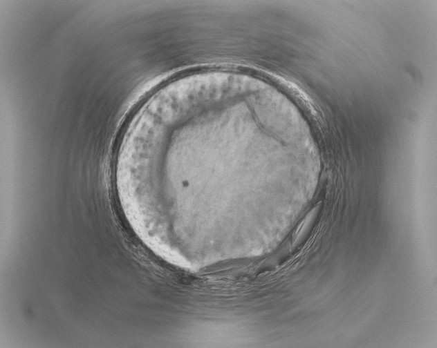 X0000115311279200912141129