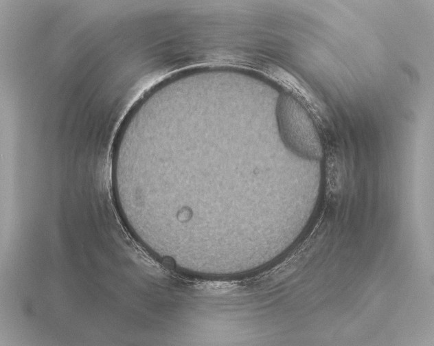 X0000115311280200912141129