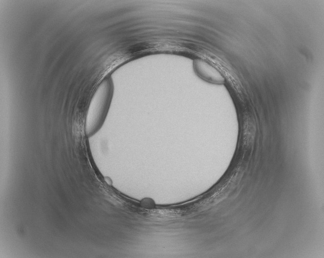 X0000115311281200912141129