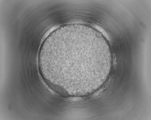 X0000115311282200912141129