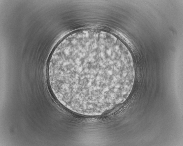 X0000115311283200912141129