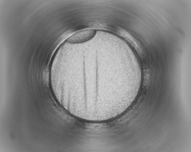 X0000115311284200912141129