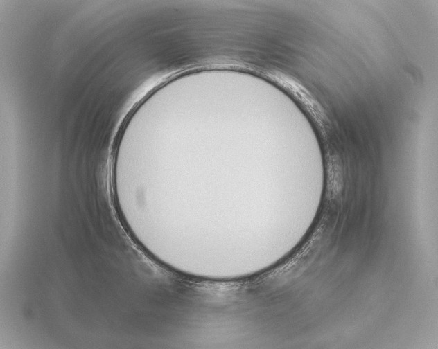 X0000115311286200912141129