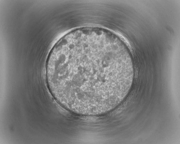 X0000115311287200912141129