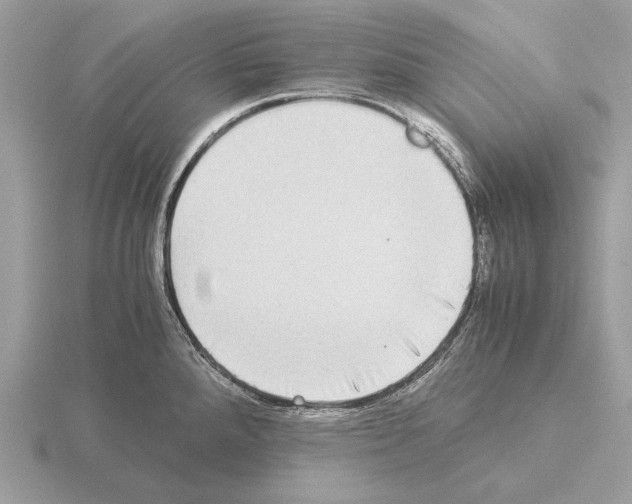 X0000115311288200912141129