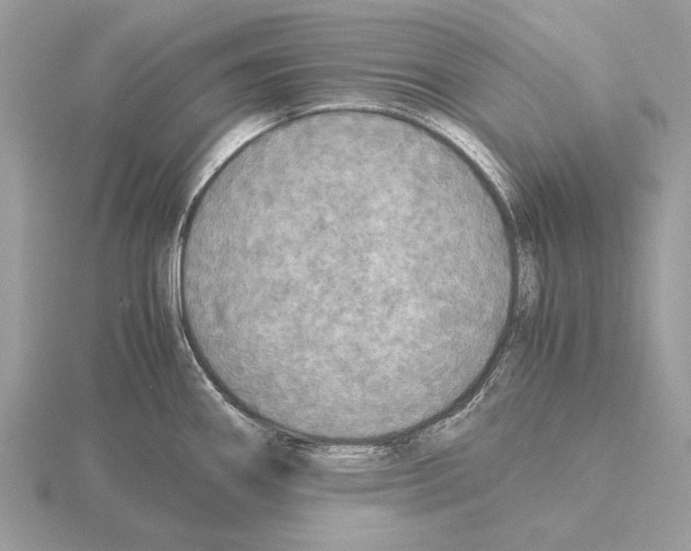 X0000115311290200912141129