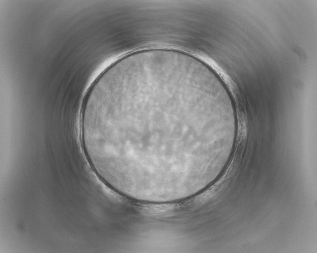 X0000115311294200912141129