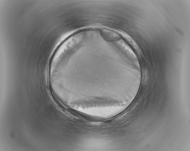 X0000115311295200912141129