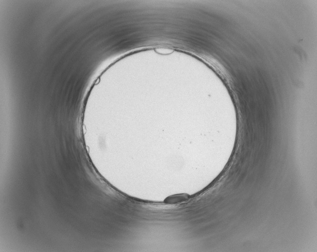 X0000115311296200912141129