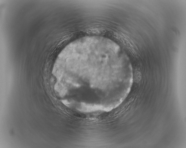 X0000115311297200912141128