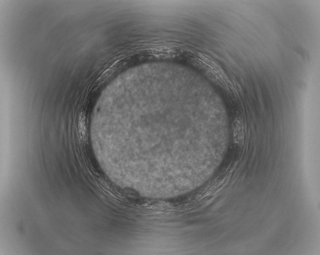 X0000115311298200912141128