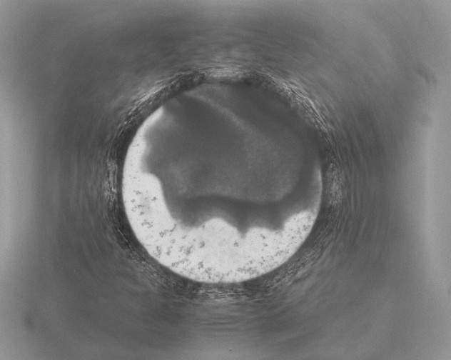 X0000115311301200912141128