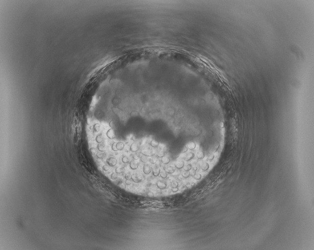 X0000115311302200912141128