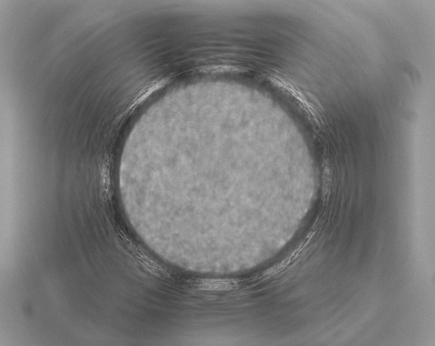 X0000115311305200912141129