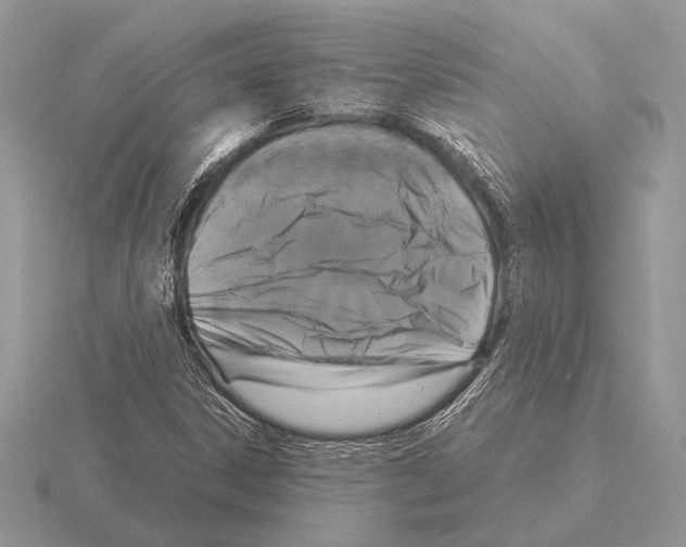 X0000115311306200912141129