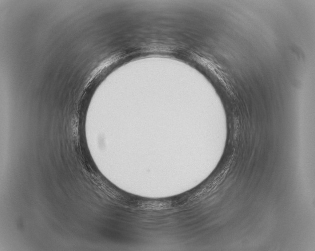 X0000115311307200912141129