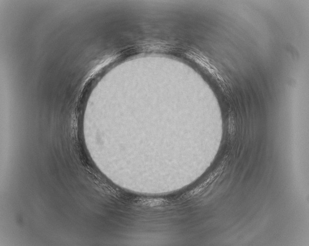 X0000115311309200912141129