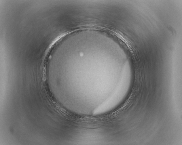 X0000115311310200912141129