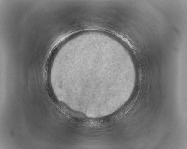 X0000115311311200912141129