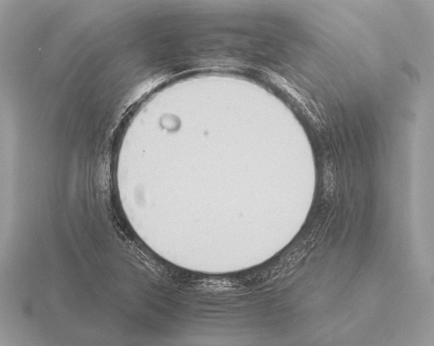 X0000115311315200912141129