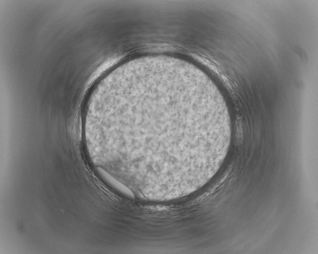 X0000115311317200912141129