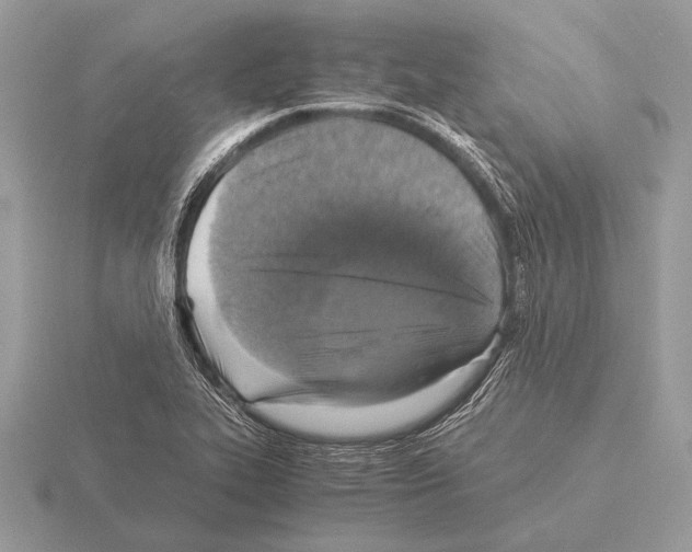 X0000115311319200912141129