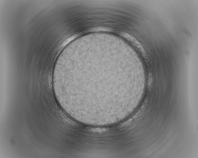 X0000115311321200912141129