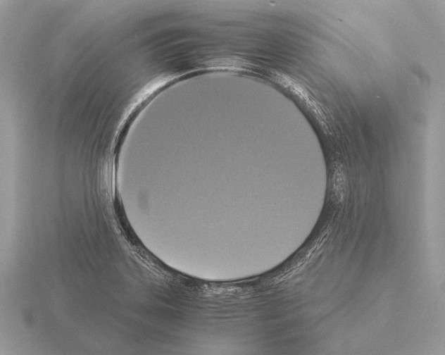 X0000115311323200912141129