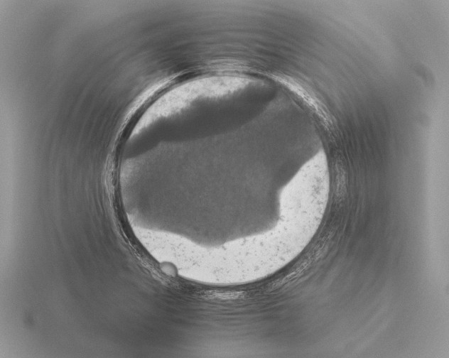 X0000115311325200912141129