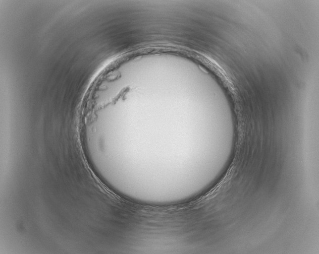 X0000115311326200912141129