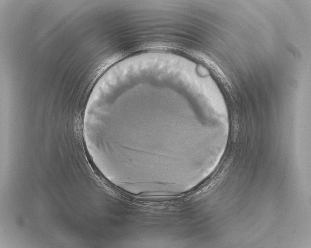 X0000115311329200912141129