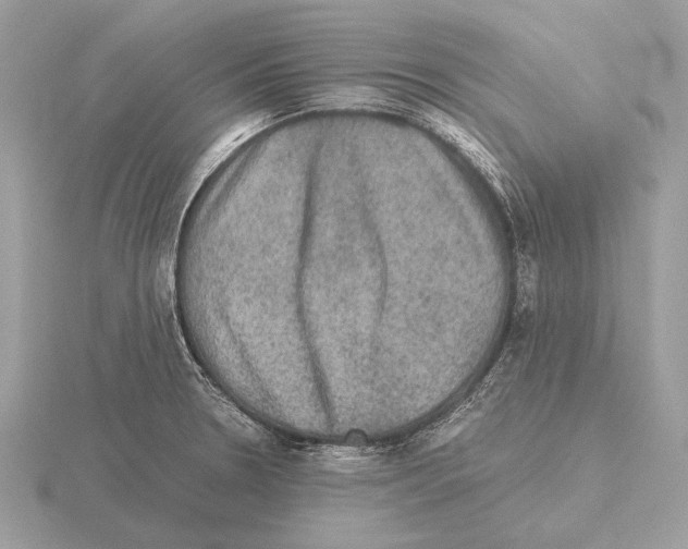 X0000115311330200912141129