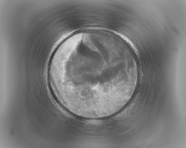 X0000115311333200912141129