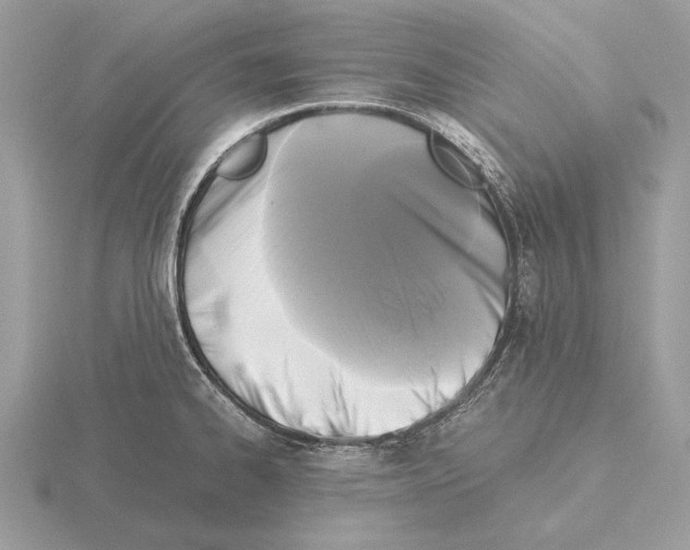 X0000115311334200912141129