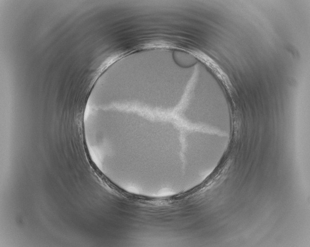 X0000115311337200912141129