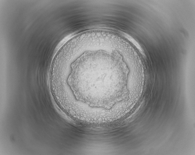 X0000115311338200912141129