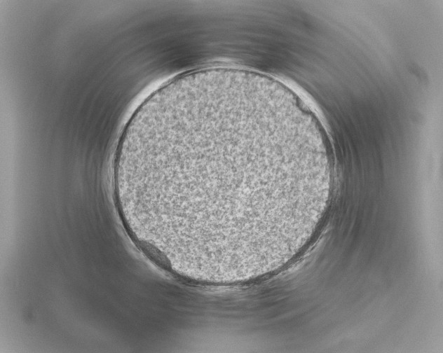 X0000115311341200912141129