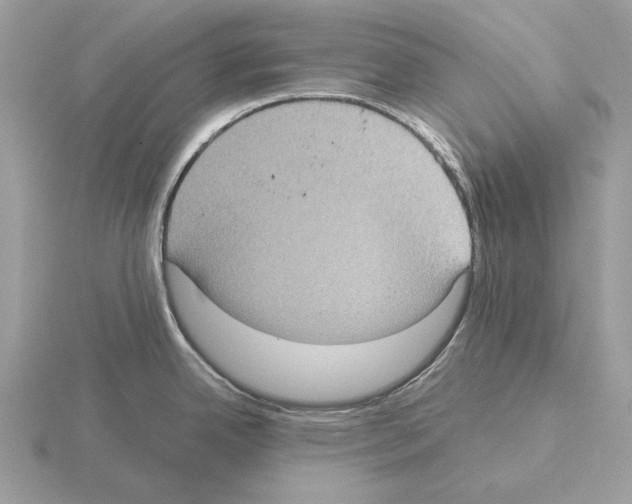 X0000115311342200912141129