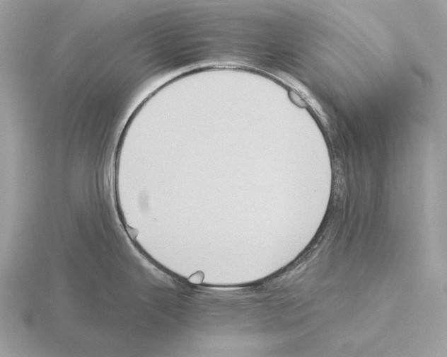 X0000115311343200912141129