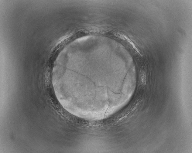 X0000115311350200912141128