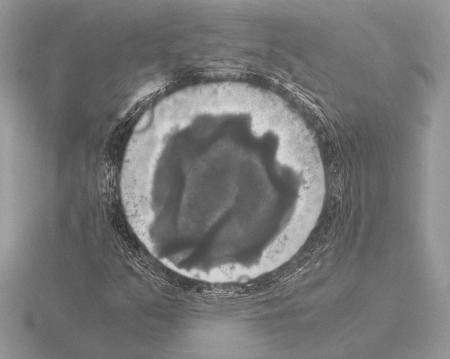 X0000115311351200912141128