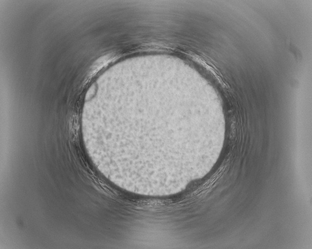 X0000115311355200912141128