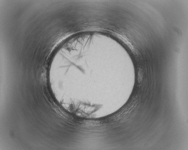 X0000115311356200912141128