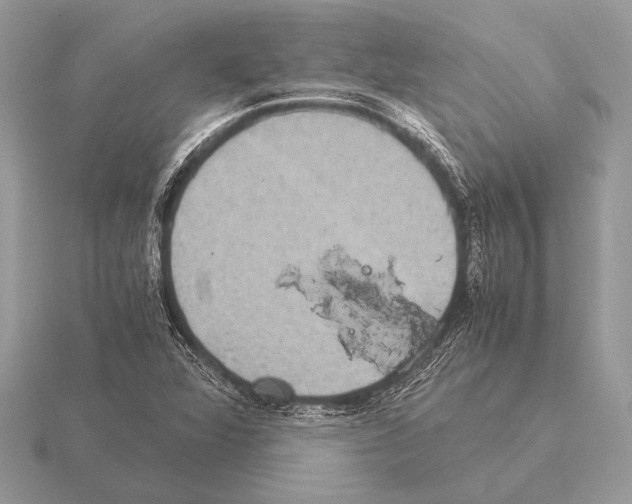 X0000115311360200912141128